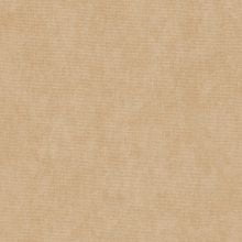 Ткань велюр T-6 бежевый