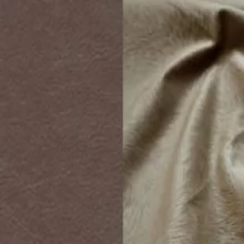 Каролина дарк милк/Винг 3