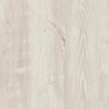 Сосна Эдмонт