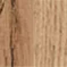 Дуб вотан / Дуб золотой