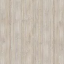 Светлый дуб