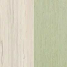 Сосна Астрид /Кембридж Грин Квазар