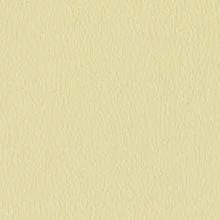 слоновая кость