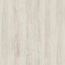 Сосна Эдмонд