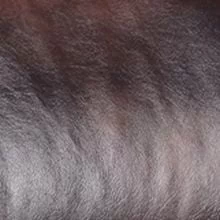 Коричневый экокожа