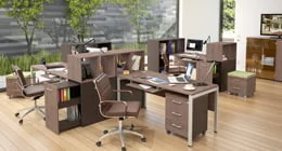 Для персонала Xten-M от Skyland