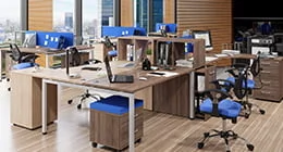 Для персонала Xten-S от Skyland