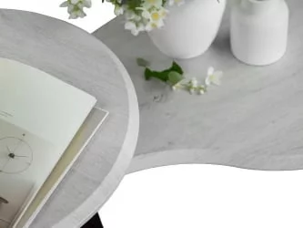 Стол журнальный BeautyStyle 2 Дуб дымчатый/венге