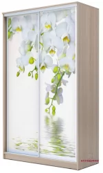 Шкаф-купе Хит-23-17-77 Орхидея Ясень шимо светлый
