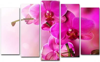 Модульная картина Toplight хсм TL-PM0009