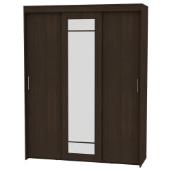 Шкаф-купе T-3-230х175х60-M(Венге-10)
