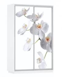 Шкаф-купе двухдверный Экспресс Дуо 1400х2200h Белая орхидея/Белый снег