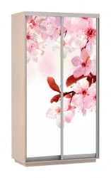 Шкаф-купе двухдверный Экспресс Дуо 1200х2200h Сакура/Дуб молочный