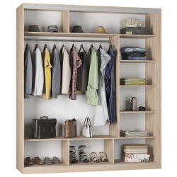 Шкаф-купе B-220х200х60-2(ЯШТ-ЯШС-D10D10D10)