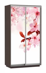 Шкаф-купе со стеклом Экспресс Хит Сакура/Венге