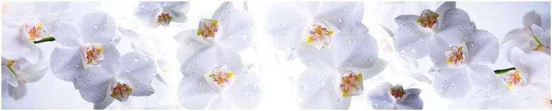 Глянцевый фартук (КОМПОЗИТ) KM 15