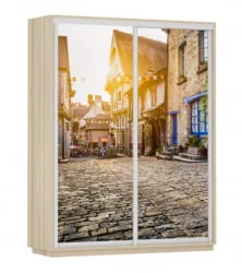 Шкаф-купе двухдверный Экспресс Дуо 1600х2200h Улица/Ясень шимо светлый