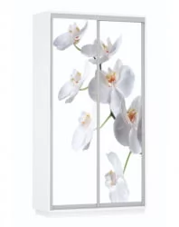 Шкаф-купе двухдверный Экспресс Дуо 1200х2400х Орхидея белая/Белый снег / 1200х2400h