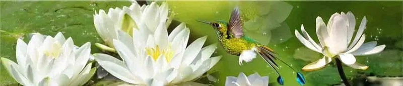 Глянцевый фартук с эффектом мерцания (КОМПОЗИТ) Лотос