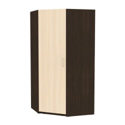 Шкаф распашный YR-198х1034(Венге-ДМ-5)