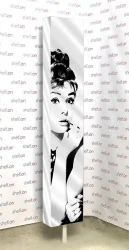 Распашной шкаф в гостиную Зум Шелф Арт Венге