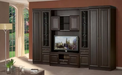 Распашной шкаф в гостиную 604  Денвер темный