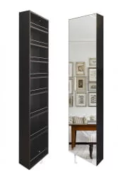 Шкаф с зеркалом Драйв Шелф (левый) Венге