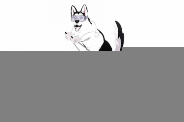 Шкаф-купе с фотопечатью Хаски 23 Дуб Ирландский Белый