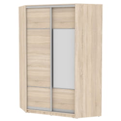 Шкаф-купе YA-230х1400-568-4(ДСС-D4D3)