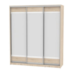 Шкаф-купе B-220х200х60-2(ДСС-D10D10D10)