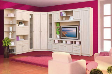 Распашной шкаф в гостиную 607  Денвер светлый