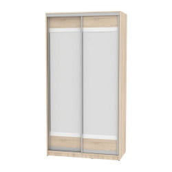 Шкаф-купе Б-220х120х60-1(ДСС-Д10Д10) / B-220х120х60-1(ДСС-D10D10)