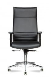 Офисное кресло Майк | Крестовина: хром паук | Подлокотники: 709