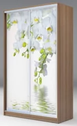 Шкаф купе 2-ух дверный Хит-24-12-77 Орхидея Ясень шимо темный