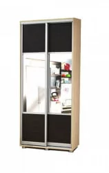 Детский шкафы-купе Уголок школьника (двухдверный) Дуб беленый Туя светлая