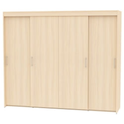 Шкаф-купе T-5-198х235х45(ДМ-7)