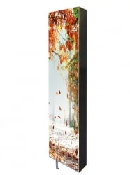 Поворотный зеркальный шкаф Драйв Шелф Арт (правый) Венге