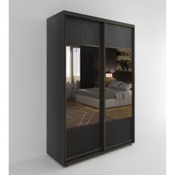 Шкаф-купе 2-х дверный Акцент-Дуэт Д 1000х600 Венге