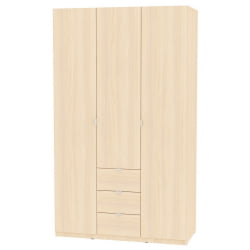 Шкаф распашный R-230х135х45-3-TR(ДМ)