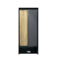 Шкаф купе 2-ух дверный Ольга-Лофт 10.1 Дуб Крафт золотой Темно-серый