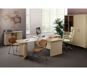 Набор мебели для руководителя Премиум Набор 2 Аттика