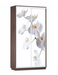 Шкаф-купе двухдверный Экспресс Дуо 1200х2200h Орхидея белая/Венге