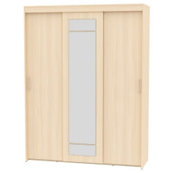 Шкаф-купе T-3-230х175х60-M(ДМ-10)