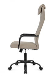 Кресло Рай РCХ Высокая спинка РПХ-28 Бежевый / Ray RCH RPH-28