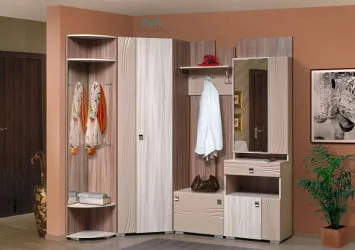 Прихожая Визит-5 (вар.№1)