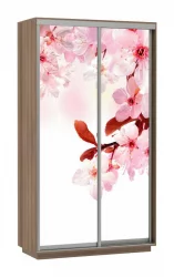 Шкаф-купе двухдверный Экспресс Дуо 1200х2200h Сакура/Ясень шимо тёмный