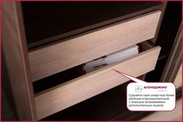 Шкаф-купе белый Хит-24-14-77 Орхидея Белая шагрень