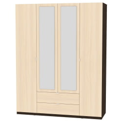 Шкаф распашный R-230х180х45-2-TR-M(Венге-ДМ)