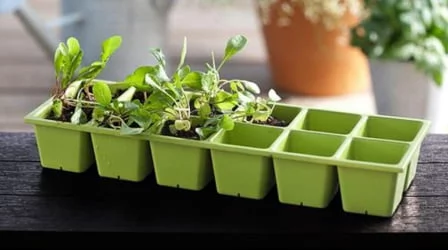 Грядка для растений URBAN BLOOMER