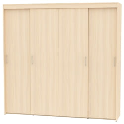 Шкаф-купе T-5-230х235х45(ДМ-13)